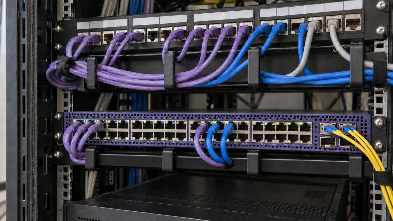 Illustration of a network switch with purple and blue patch leads, black cable management and yellow fibre uplinks.